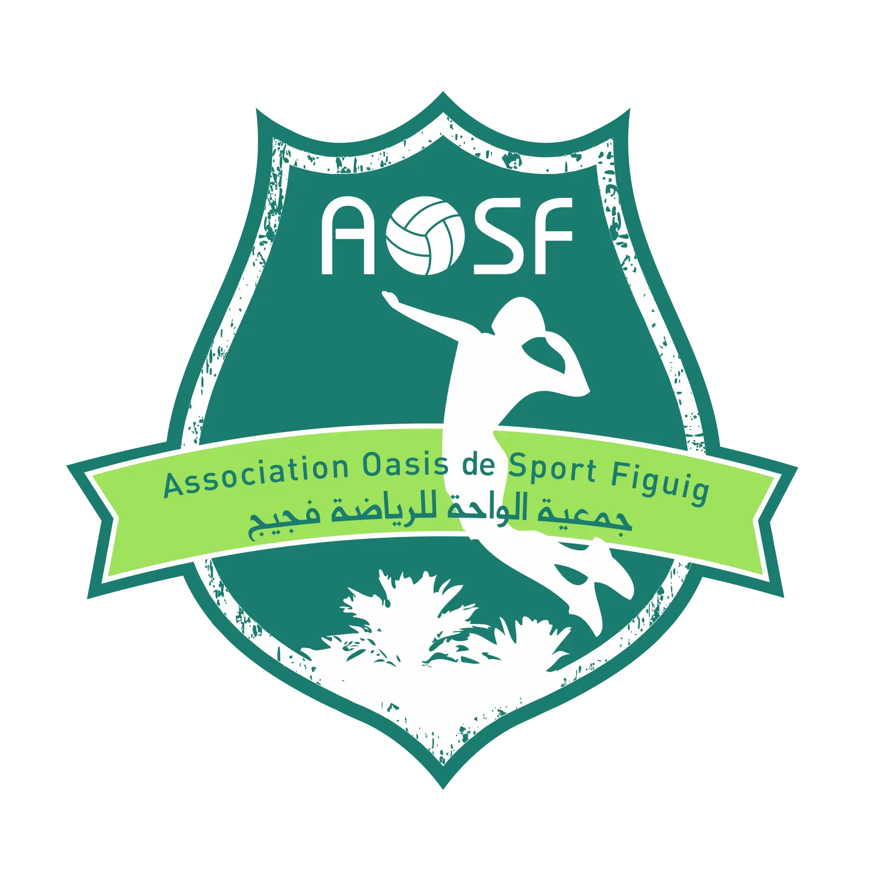 AOSF VolleyBall